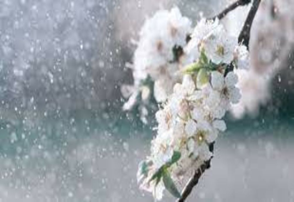 Prognoza meteo 27 aprilie. Instabilitate accentuată - averse și condiții de grindină, dar cu maxime de 26 de grade