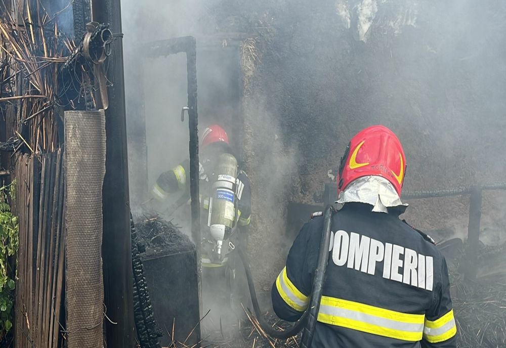 Incendiu la o hală de sortare a deșeurilor din Rădăuți