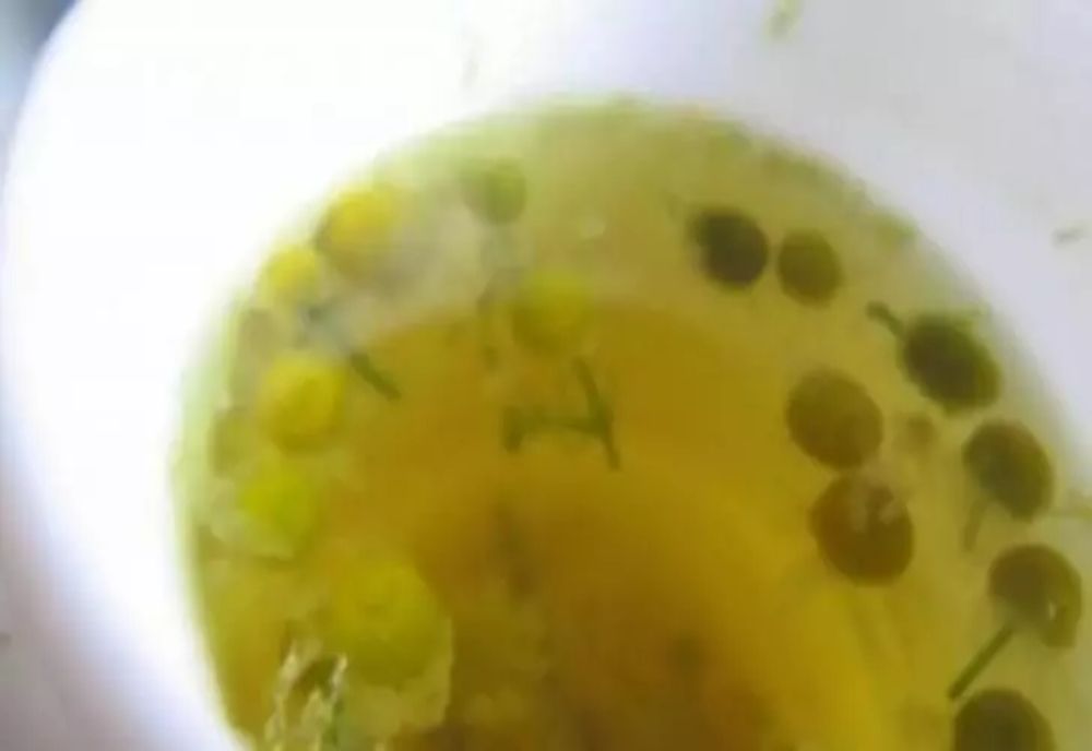 Acesta este elixirul tinereţii: un leac popular rusesc