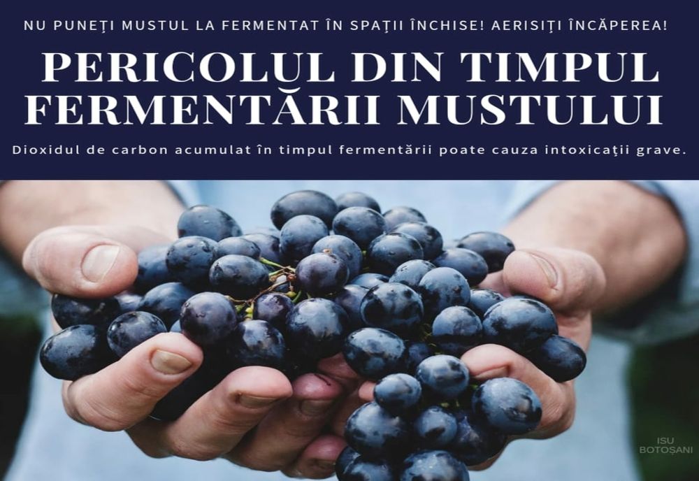 Atenție la vinul aflat în proces de fermentare!
