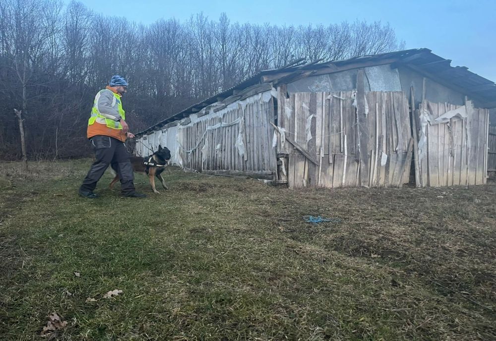  Tânăr, salvat de câinele polițist ,,COH”