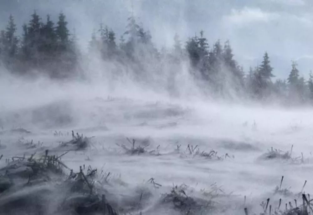 Atenționare COD PORTOCALIU de ninsori şi viscol - ANM, noi mesaje de vreme severă. HARTA actualizată.