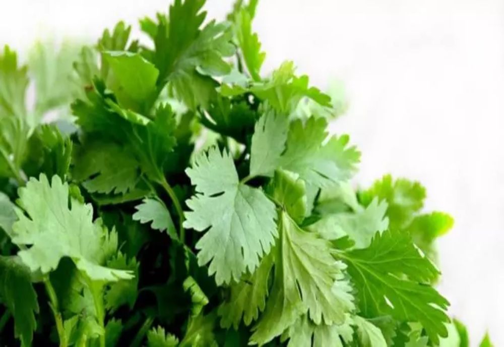 Dieta cu pătrunjel, cea mai rapidă cură de primăvară: slăbești 5 kg în doar 7 zile
