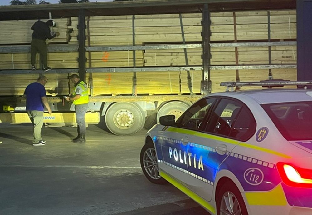 Doi bărbați din Suceava, depistați în județul Bacău cu transport de lemne fără documente legale