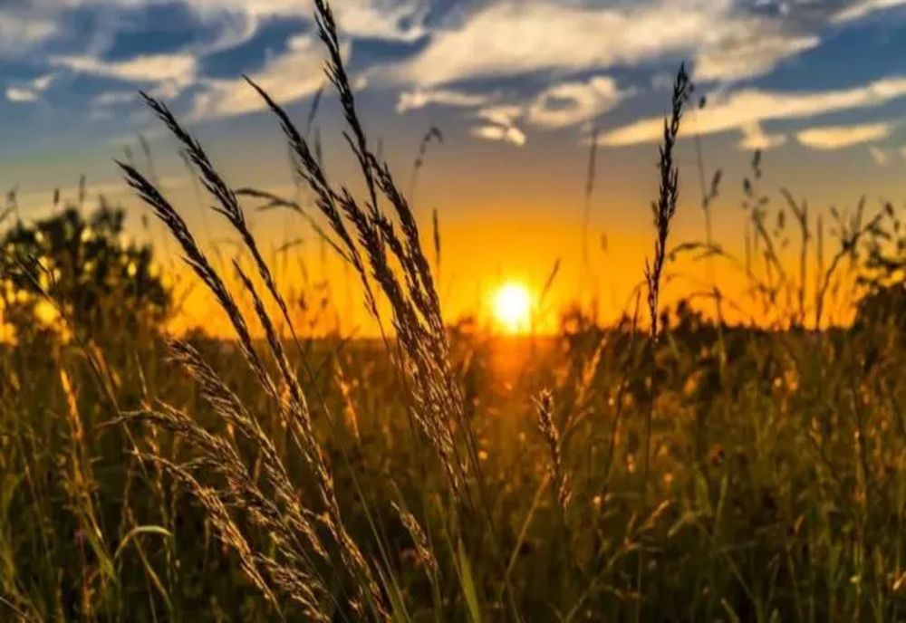 Vremea 5 octombrie - Temperaturi de vară în România