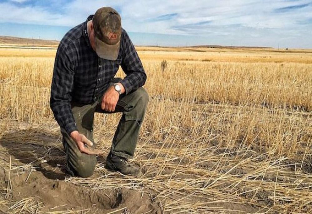 APROAPE 12% DINTRE PERSOANELE OCUPATE LUCRAU ÎN RAMURI AGRICOLE, ÎN 2023