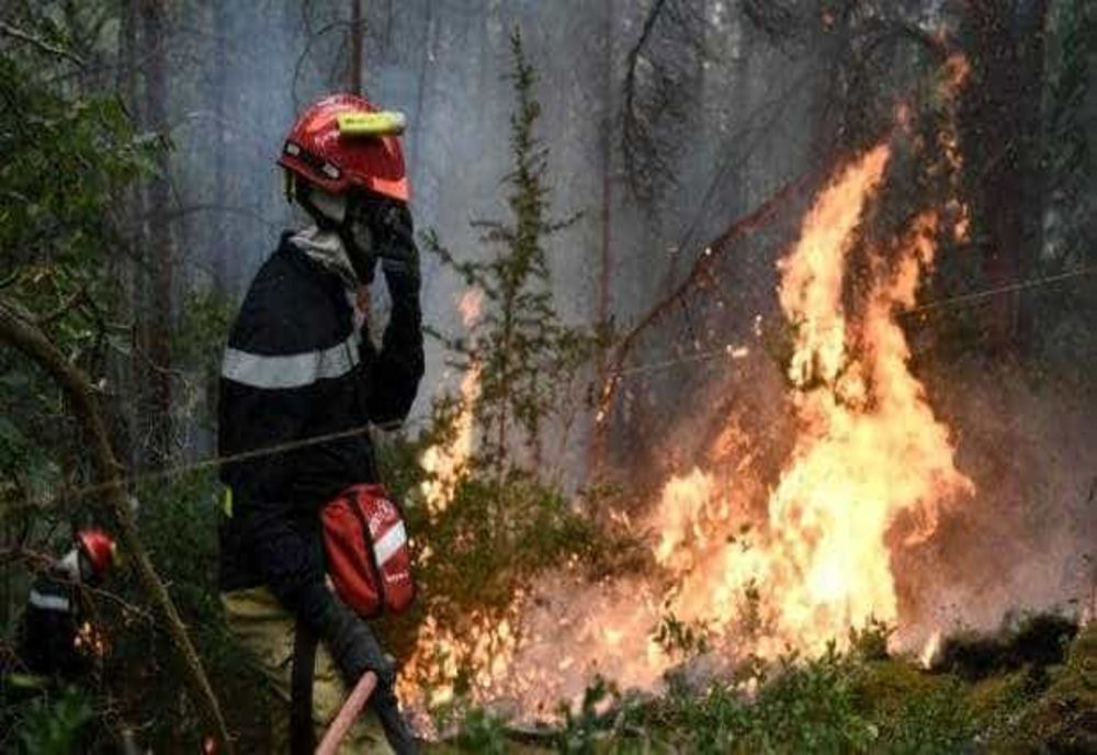 INCENDIILE DE VEGETAȚIE AFECTEAZĂ SUTE DE HECTARE ÎN ȘASE JUDEȚE DIN ȚARĂ. AUTORITĂȚILE LANSEAZĂ UN NOU APEL LA RESPONSABILITATE