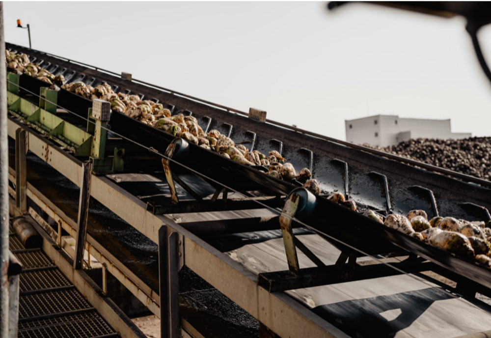 ROMÂNIA, ÎNTRE IMPORTURI ȘI PRODUCȚIA DE ZAHĂR