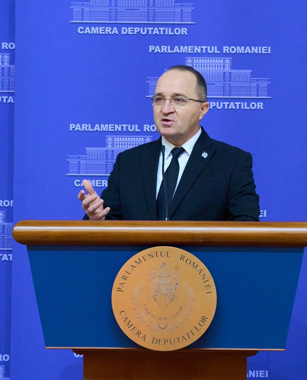 Negrea Petru Gabriel