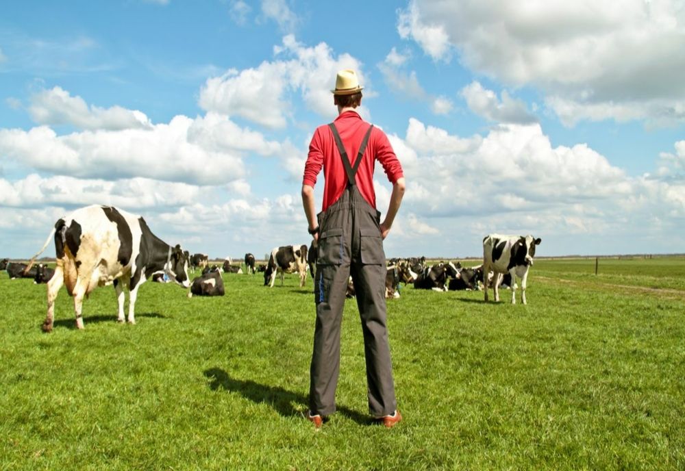 PLATA AJUTORULUI DE STAT ÎN SECTORUL CREȘTERII ANIMALELOR