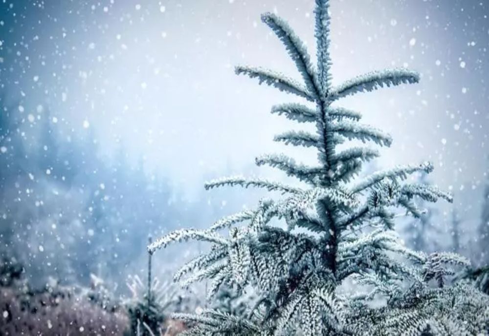 Vremea în februarie: temperaturi ușor peste normal și precipitații extinse