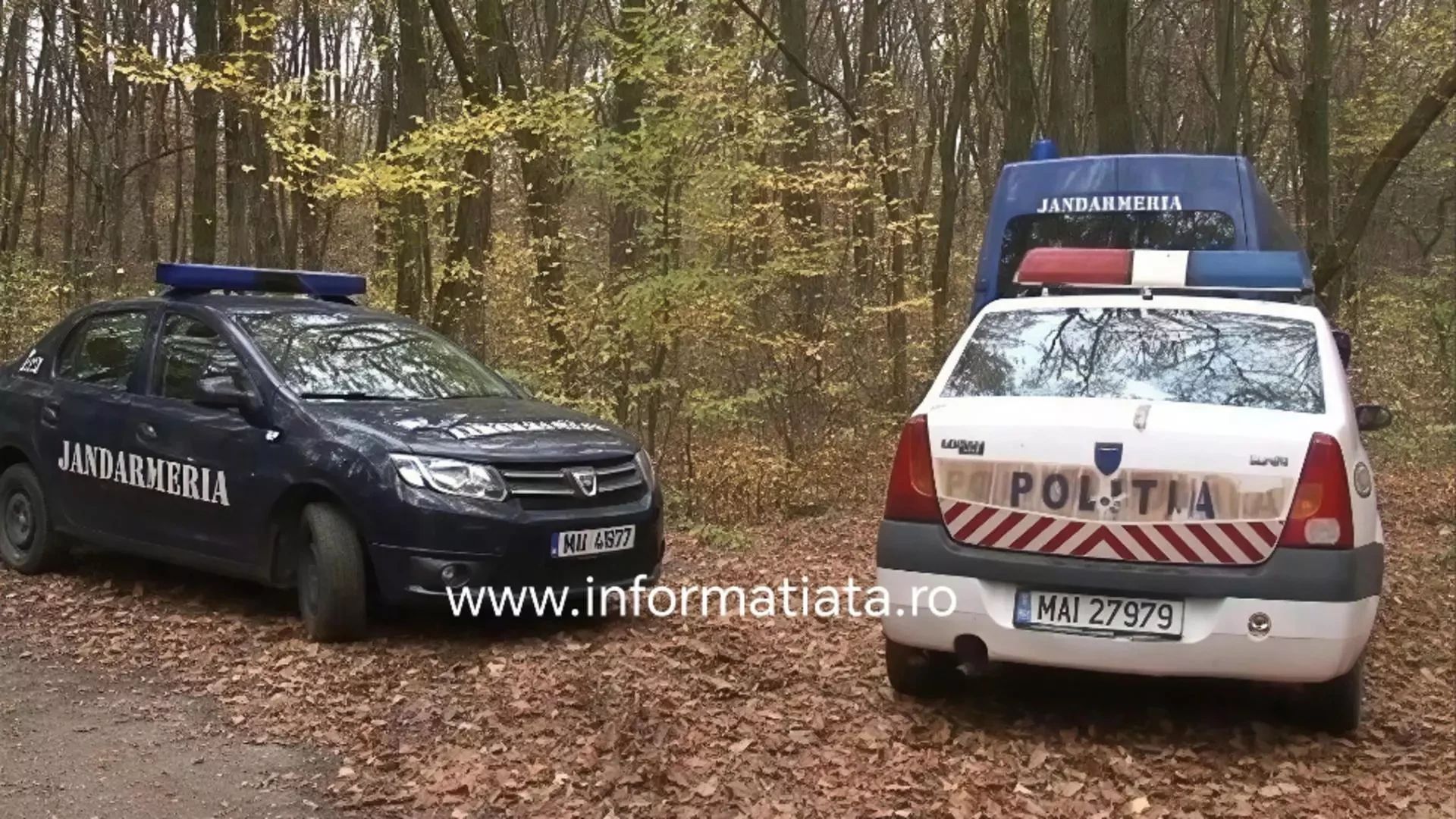 Descoperire șocantă Suceava