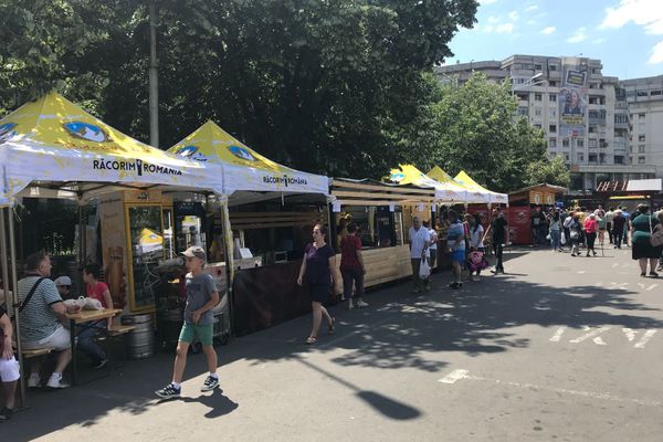 Ciobani și sute de oi, captivi în mijlocul apelor, la Valea Moldovei FOTO