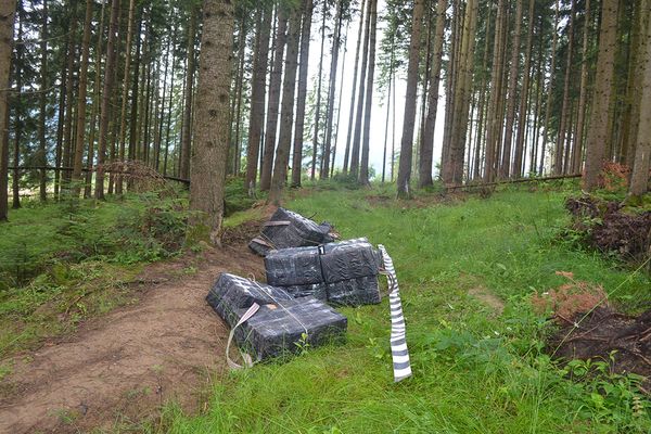 Cinci focuri de armă trase de polițiștii de frontieră la granița cu Ucraina după un grup de contrabandiști