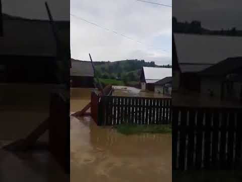 Gospodării inundate și drumuri blocate la Vatra Moldoviței, după o ploaie torențială VIDEO