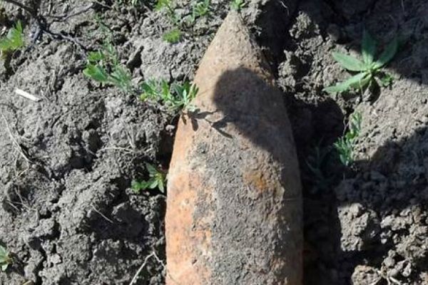 Arme și muniție din Primul Război Mondial, găsite într-o pădure din Brodina