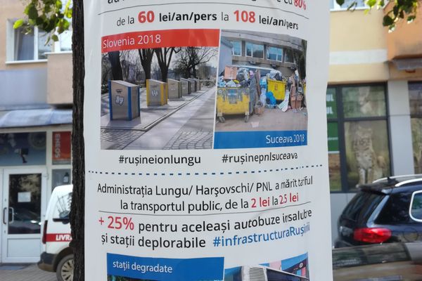 Afișe cu iz electoral lipite pe copacii din cartierul Burdujeni din Suceava