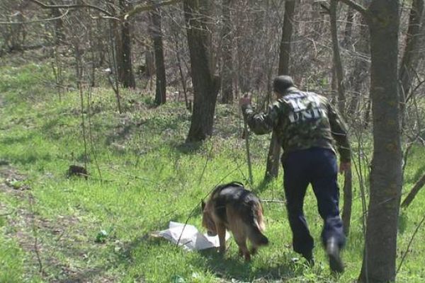 Bătrână de 82 de ani, căutată de zeci de persoane după ce a dispărut de pe imașul din fața locuinței