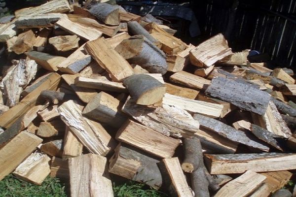 Un băiat de 11 ani din Sucevița a ajuns la spital după ce a fost prins sub o stivă de lemne