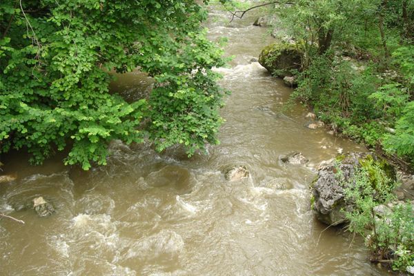 O femeie a murit după ce a căzut de pe o punte pietonală într-un pârâu. A fost găsită la 12 km în aval de locul accidentului