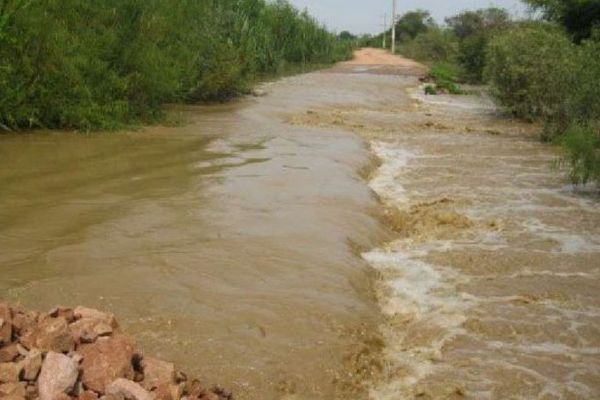 O societate de prelucrare a lemnului a fost inundată, după ce un dig a fost rupt de ape, la Bogdănești