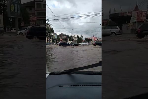 VIDEO Copaci rupți, curți și străzi inundate după o furtună violentă, la Suceava