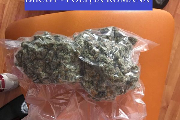 FOTO. Doi suceveni cercetați pentru trafic și consum de droguri de risc și mare risc