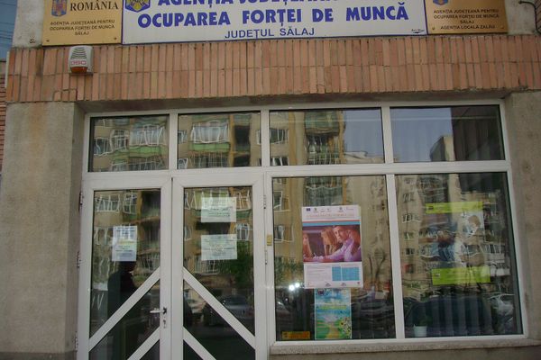 11.600 de șomeri înregistrați în evidențele AJOFM Suceava