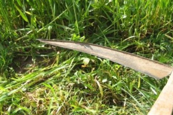 Tragedie la Panaci. Un tânăr a murit după ce a căzut într-o coasă