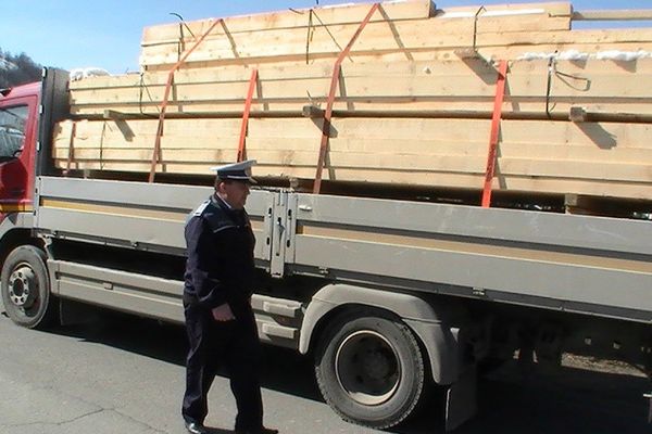 Amendă în valoare de 2.000 de lei pentru transport ilegal de lemne