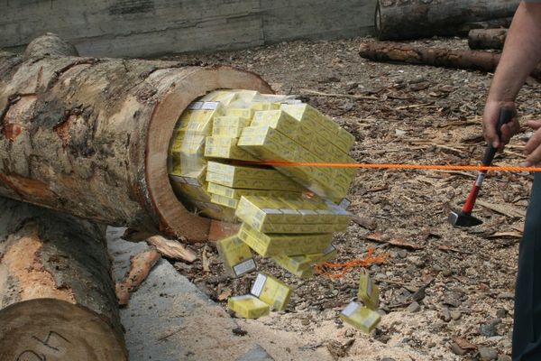 VIDEO Dosarul țigărilor ascunse în bușteni, în instanță după cinci ani