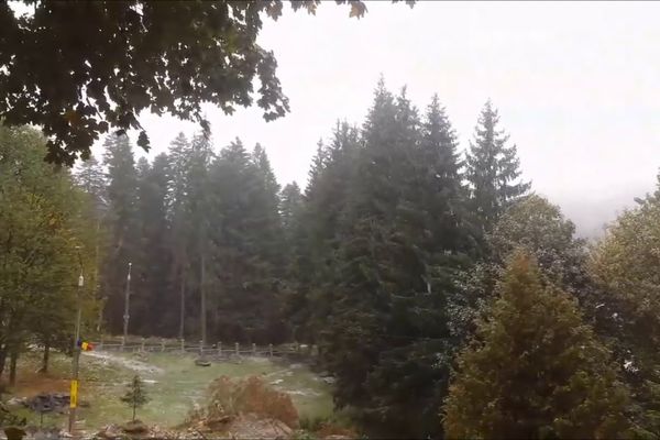 VIDEO Golazo în Liga a III-a! Execuție „Folha Seca” superbă de la 25 de metri, la Suceava