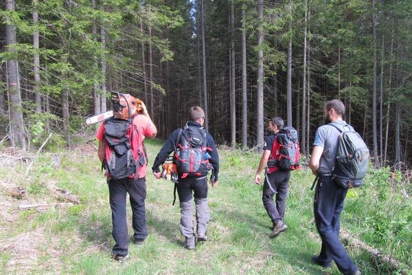 Salvatorii scotocesc munții în căutarea unui bărbat dispărut de sâmbătă