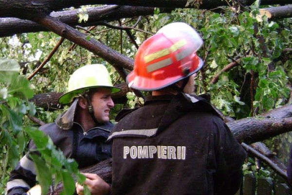 DN 17, între Vatra Dornei și Iacobeni,  blocat din cauza unor copaci căzuți