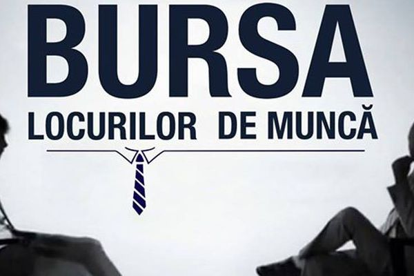 Aproape 1300 de suceveni au participat la Bursa locurilor de muncă pentru absolvenți