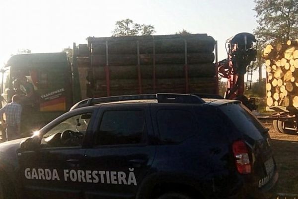 Amenzi în valorea de 186.000 de lei aplicate de Garda Forestieră Suceava în cursul lunii septembrie
