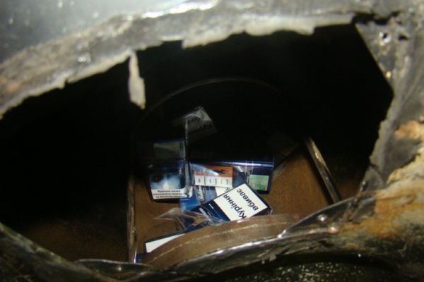 O șoferiță a accidentat mortal o căprioară, după ce animalul a sărit în fața autoturismului