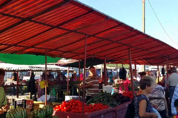 VIDEO Dacian Cioloș a anunțat, la Suceava, că este dispus să candideze la toate alegerile din 2019 și 2020