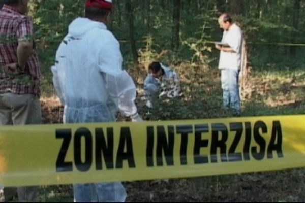 Un bărbat din Vama a murit după ce un copac a căzut peste el