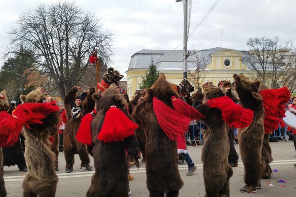 Scurgere de gaze la o cisternă cu GPL pe DN 17. Traficul este întrerupt FOTO