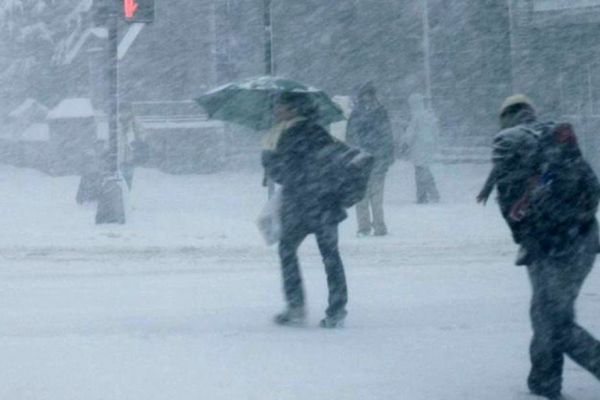 Cod galben de vânt pentru zona de munte a județului Suceava