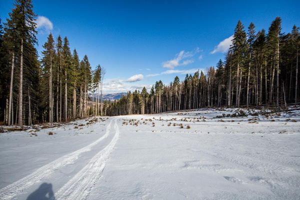Pârtia de Schi din Rarău se va deschide pe 5 ianuarie
