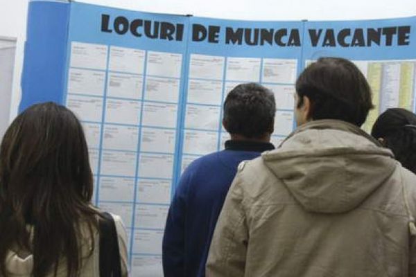 La nivelul județului Suceava rata șomajului la sfârșitul lunii noiembrie a fost de 5,19 la sută