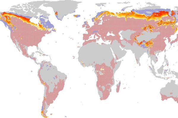 Contribuție importantă a Universității „Ștefan cel Mare” din Suceava la studiul efectelor majore ale schimbărilor globale de temperatură asupra creșterii arborilor