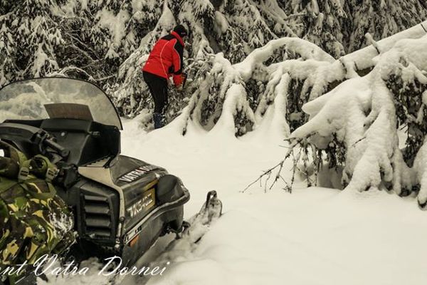 Traseul turistic Rusca-Cabana Giumalău blocat de copaci FOTO