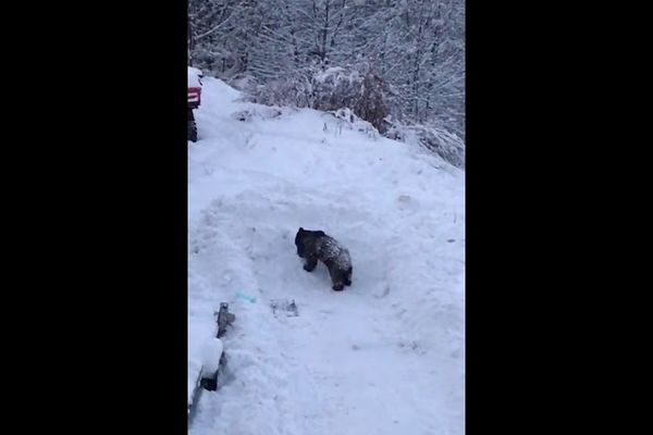 Incendiu la un bloc din municipiul Suceava. Mai multe pesoane au fost evacuate VIDEO