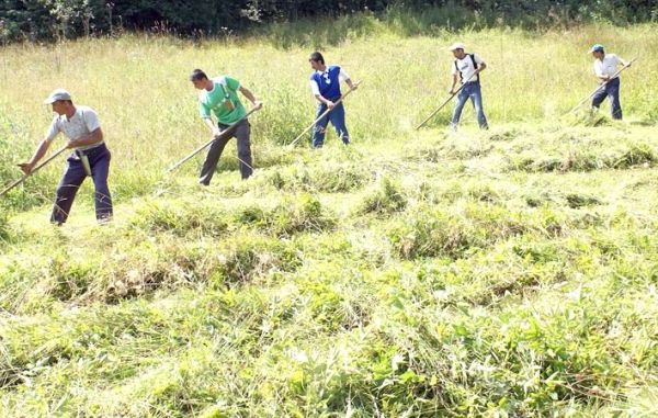 ITM Suceava informează că s-a modificat legea pentru zilieri