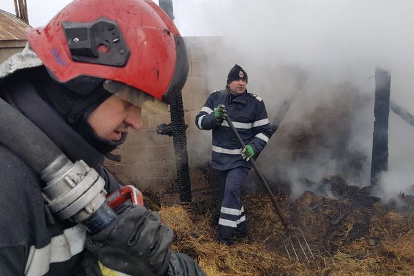 FOTO Un cal și doi câini au pierit într-un incendiu izbucnit într-o gospodărie din Corocăiești
