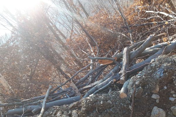 Șase cetățeni din Bangladesh, prinși la Falcău după ce au trecut ilegal granița FOTO