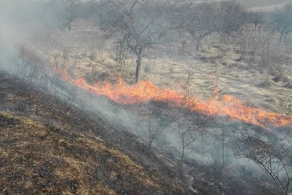 42 de incendii de vegetație uscată în doar șapte zile VIDEO